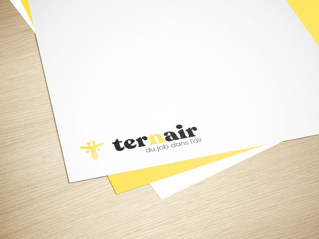 Logo Ternair, cabinet de recrutement IT