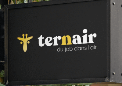Logo – Ternair
