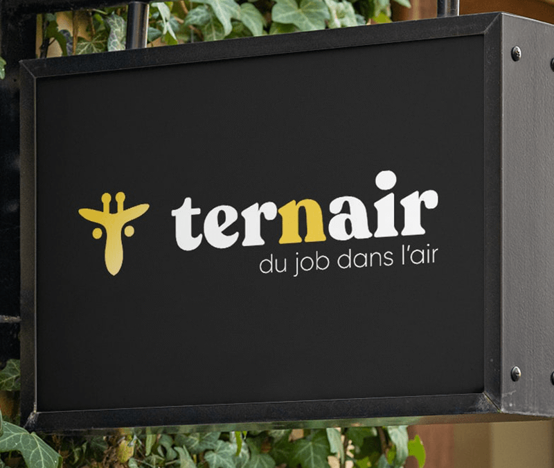Logo – Ternair
