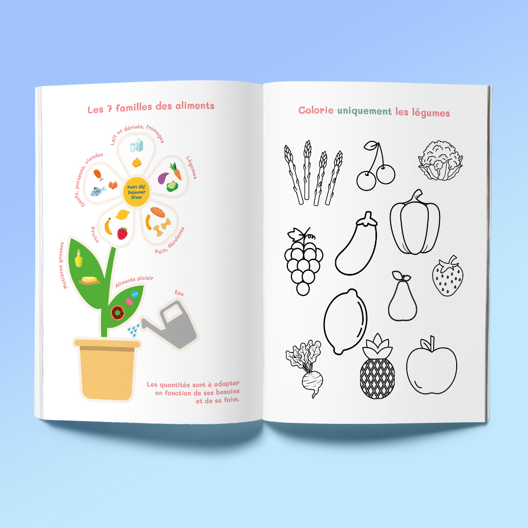 Plan de travail 2